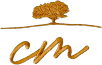Vidigás logo